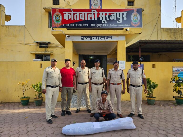 सूरजपुर पुलिस ने 227 नग मादक पदार्थ गांजा के पौधों के साथ 01 को किया गिरफ्तार…