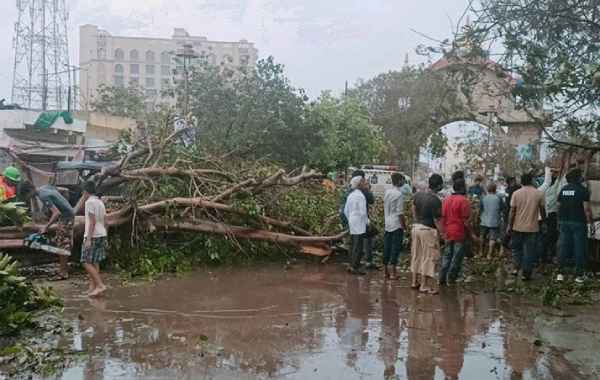 BIG NEWS: बिपरजॉय तूफान के तांडव से 500 घरों को नुकसान, 800 पेड़ भी उखड़े, NDRF ने दी जानकारी....