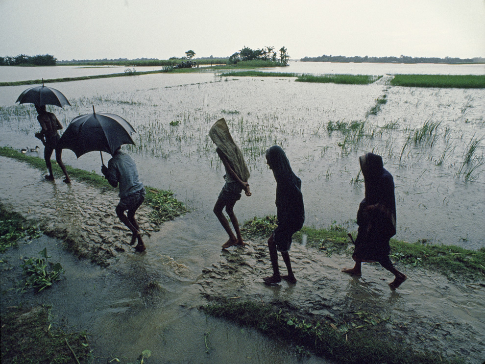 monsoon: अब पूरे छत्तीसगढ़ में मानसून सक्रिय, लेकिन 71% कम बारिश से खेती में 15 दिन की देरी...