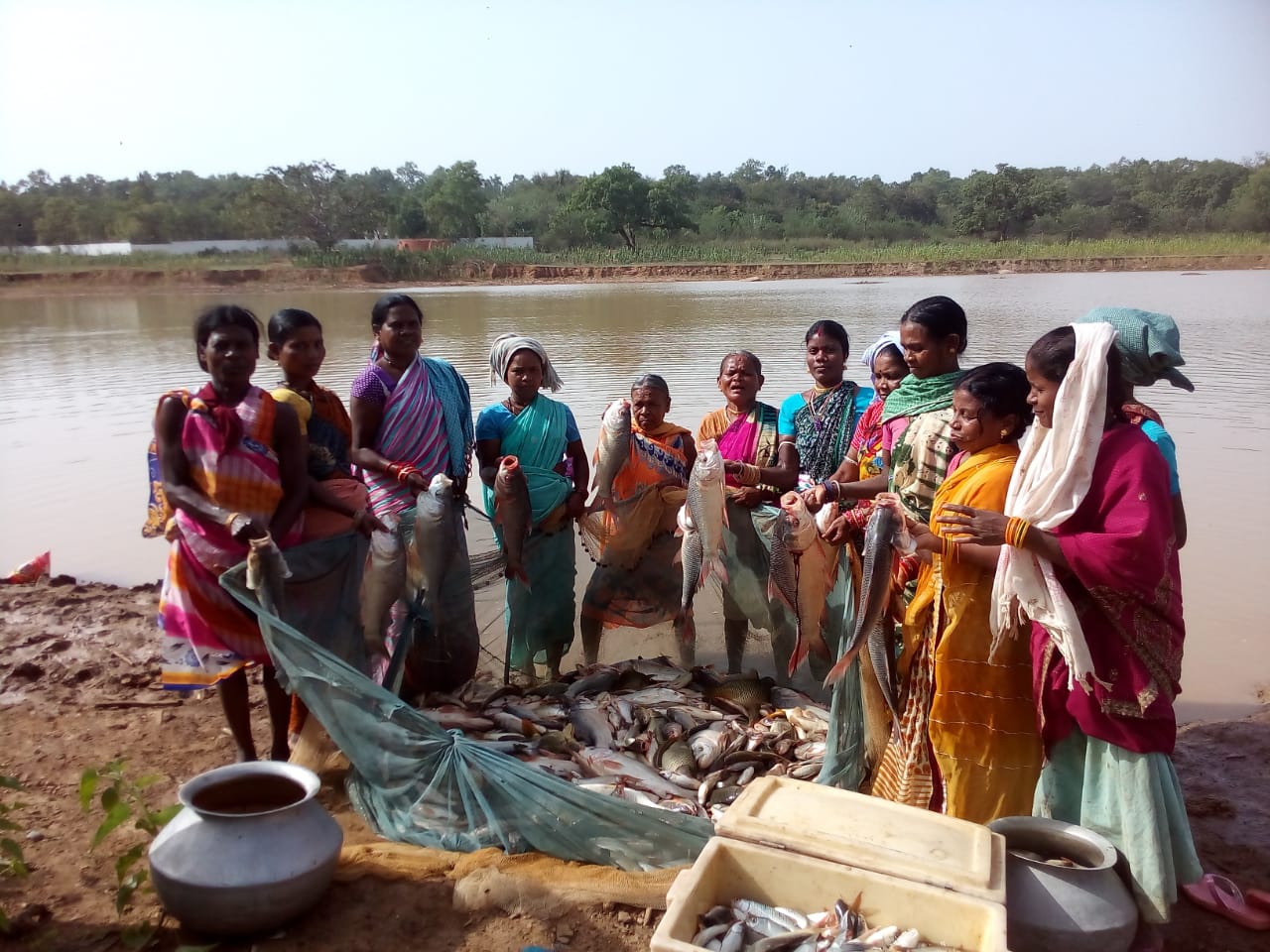 Raipur: ग्रामीण अर्थव्यवस्था का मजबूत आधार बनी गौठान, लोगों को मिल रहा रोजगार...