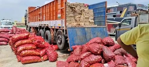 liquor-hidden-in-sacks-of-onions