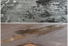 As soon as it rains in Bhanupratappur, the layer of development started to crumble ... potholes were seen everywhere