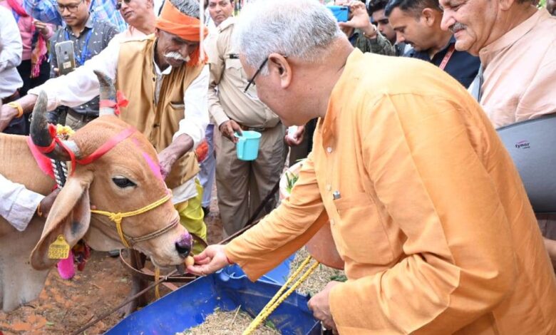 Raipur: मुख्यमंत्री ने नवागांव गौठान में मनाया हरेली त्यौहार, कृषि यंत्रों की पूजा अर्चना की, गौ माता को आटे की लोंदी खिलाई