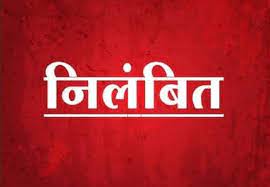 Chhattisgarh: शासकीय कार्य में लापरवाही बरतने पर दो पटवारी निलंबित...