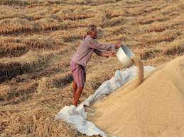 Good news for farmers, paddy procurement will start in the state from this day