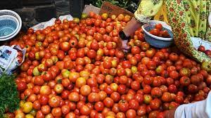 Now the price of tomato has come under control? The price reached Rs 35 per kg, read the full news