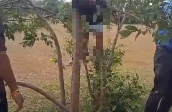 Breaking News:- Dead body of a milk-fed child found on the gallows, in the Ganiyari forest of Fingeshwar police station.