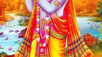 This festival of Janmashtami will be celebrated with great pomp all over Raipur at 12 midnight.