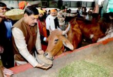 मुख्यमंत्री डॉ. मोहन यादव ने उज्जैन में गौशाला और आश्रमों का किया भ्रमण...