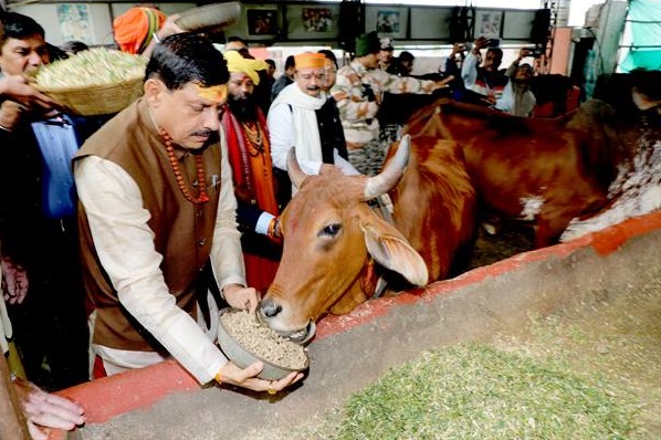 मुख्यमंत्री डॉ. मोहन यादव ने उज्जैन में गौशाला और आश्रमों का किया भ्रमण...