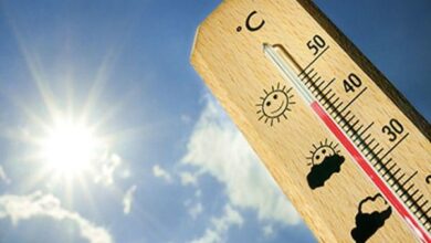 WEATHER UPDATE: भीषण गर्मी से हाल बेहाल, 12 जिलों में धिकतम तापमान 41.4 डिग्री सेल्सियस से ज्यादा