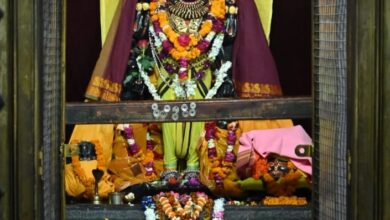 श्रीराजीव लोचन का जन्मोत्सव: भक्तों ने किया दिव्यरूप में दर्शन...