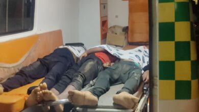 बीती रात सिहावा थाना क्षेत्र के सांकरा से भोथली मार्ग के पास एक सड़क हादसे में 3 युवकों की मौत हो गई...