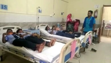 स्वामी आत्मानंद स्कूल परिसर में मच हड़कंप ,जब मधुमक्खियों के झुंड ने बच्चों पर किया हमला...