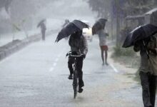 CG NEWS: राजधानी रायपुर समेत अन्य जिलों में मौसम विभाग ने अलर्ट किया जारी...