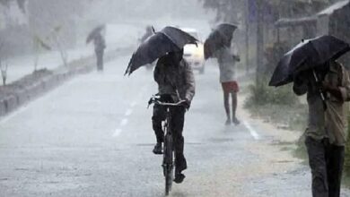 CG NEWS: राजधानी रायपुर समेत अन्य जिलों में मौसम विभाग ने अलर्ट किया जारी...