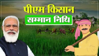 किसानों के लिए बड़ा खुशखबरी, PM किसान योजना की किस्त को लेकर आया बड़ा अपडेट, पढ़े पूरी खबर