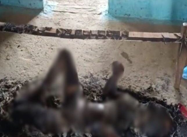 Chhattisgarh Crime: लव अफेयर के शाम में पति ने पत्नी को जिन्दा जलाया...