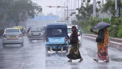 Chhattisgarh Weather: रायपुर-बस्तर संभाग में भारी बारिश की अलर्ट जारी अगले 5 दिनों तक, पढ़े पूरी खबर...