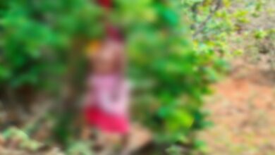 Chhattisgarh: पेड़ में लटकी मिली महिला लाश, इलाके में फैली सनसनी...