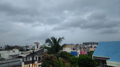 Chhattisgarh: मानसून की बौछारों के साथ तापमान में हुआ गिरावट, खेती-किसानी का काम हुआ शुरू...