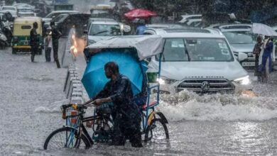 WEATHER UPDATE: मौसम विभाग ने किया बिलासपुर और कोरबा सहित 8 जिलों में भारी बारिश का अलर्ट जारी...