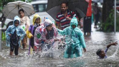 बारिश ने बढ़ाई किसानों की चिंता, छत्तीसगढ़ के 20 जिलों में औसत से कम गिरा पानी...