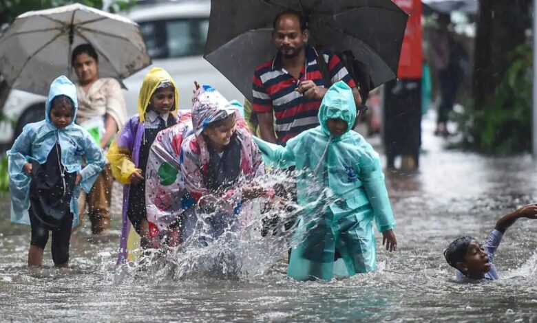 बारिश ने बढ़ाई किसानों की चिंता, छत्तीसगढ़ के 20 जिलों में औसत से कम गिरा पानी...