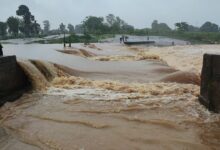 Chhattisgarh: जबरदस्त बारिश से नदी-नाले उफान पर, ग्रामीण की डूबने से मौत...