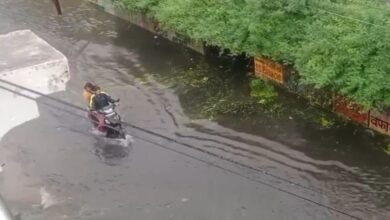 RAIPUR: शुक्रवार देर रात से लगातार हो रही बारिश, कई जगहों पर जलभराव का करना पड़ रहा स्थानीय सामना, रेलवे ओवर ब्रिज में 2 फीट से ऊपर भरा पानी, पढ़े पूरी खबर...