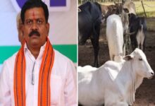 गौ तस्करों को उप मुख्यमंत्री Vijay Sharma की सख्त चेतावनी, ‘नहीं माने तो उल्टा लटकाकर सीधा किया जाएगा’...