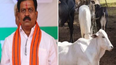 गौ तस्करों को उप मुख्यमंत्री Vijay Sharma की सख्त चेतावनी, ‘नहीं माने तो उल्टा लटकाकर सीधा किया जाएगा’...