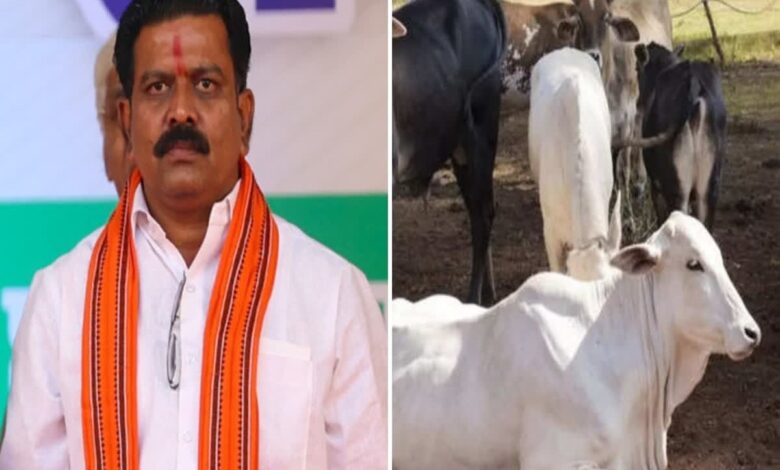 गौ तस्करों को उप मुख्यमंत्री Vijay Sharma की सख्त चेतावनी, ‘नहीं माने तो उल्टा लटकाकर सीधा किया जाएगा’...