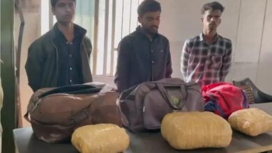 रायपुर में अस्पताल के पास पकड़ाया लाखों का गांजा, 3 अंतर्राज्यीय तस्कर गिरफ्तार...
