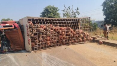 रविवार की शुरुआत हादसों से भरी, बालोद में 2 बड़े हादसे, गैस ट्रक के ड्राइवर की मौत, 5 घायल...