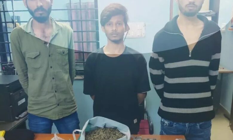 कांदुल रोड में गांजा बेचते तीन लड़के गिरफ्तार, मुजगहन पुलिस ने पकड़ा, 3 आरोपी गिरफ्तार...