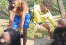 CG NEWS: भालू को बेरहमी से मारने का वीडियो हुआ वायरल, भालू को पीटने वाले के ऊपर इतने रुपए का इनाम घोषित, पढ़े पूरी खबर...