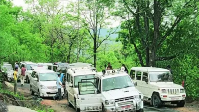 Chhattisgarh: 12 साल के बाद भी नहीं आया, झीरमघाटी कांड की सच्चाई सामने, 12 साल बाद भी मौत का सन्नाटा कायम...Chhattisgarh: 12 साल के बाद भी नहीं आया, झीरमघाटी कांड की सच्चाई सामने, 12 साल बाद भी मौत का सन्नाटा कायम...