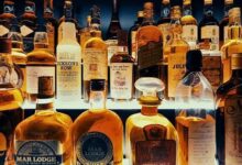 CG Liquor Scam: 3200 करोड़ के घोटाले में 28 आबकारी अधिकारी गिरफ्तार होंगे, अदालत ने खारिज की जमानत याचिका...