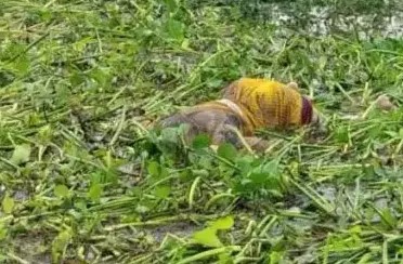 आरंग में सनसनी: पुल से कूदने की सूचना के बीच महानदी से मिली अज्ञात महिला की लाश...
