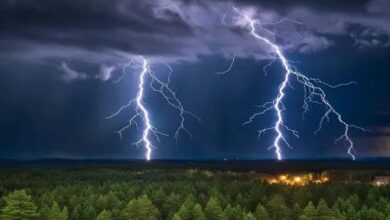 ⚡ खेत से लौट रहीं 6 महिलाएं आकाशीय बिजली की चपेट में, 2 की मौत – 4 घायल...