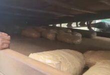 ट्रक के खुफिया चैंबर से 150 किलो गांजा बरामद, फिल्मी स्टाइल में तस्करी करते 2 गिरफ्तार...