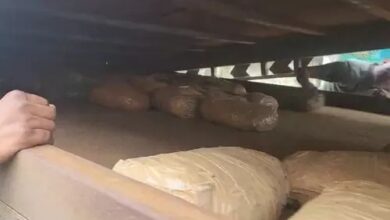 ट्रक के खुफिया चैंबर से 150 किलो गांजा बरामद, फिल्मी स्टाइल में तस्करी करते 2 गिरफ्तार...