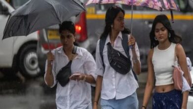 CG Weather Alert: छत्तीसगढ़ के 24 जिलों में अगले 3 घंटों में होगी तेज बारिश, IMD ने जारी किया ऑरेंज और यलो अलर्ट...