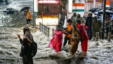 14 जिलों में बारिश का अलर्ट, बिजली गिरने की संभावना, मौसम विभाग ने दी चेतावनी...