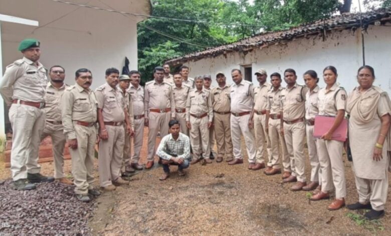 बालोद में वन विभाग की बड़ी कार्रवाई, कारपेंटर के घर से 2 लाख की सागौन लकड़ी और फर्नीचर जब्त...