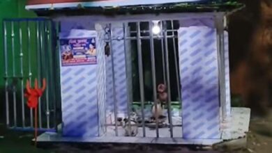 बिलासपुर में मंदिर में गंदगी फैलाने से मचा बवाल, चार आरोपी गिरफ्तार — सरकंडा क्षेत्र में पुलिस सतर्क...
