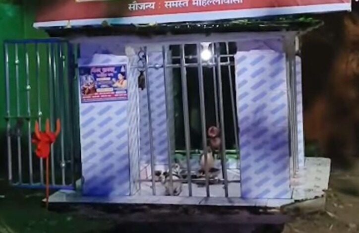 बिलासपुर में मंदिर में गंदगी फैलाने से मचा बवाल, चार आरोपी गिरफ्तार — सरकंडा क्षेत्र में पुलिस सतर्क...