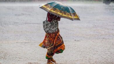 CG Weather Update: छत्तीसगढ़ में बारिश की रफ्तार होगी धीमी, कई जिलों में बिजली गिरने का अलर्ट जारी...