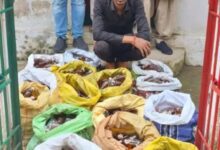 बलौदाबाजार में आबकारी विभाग की बड़ी कार्रवाई, 96 हजार की अवैध शराब जब्त...
